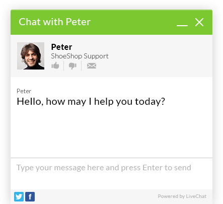 Tour pelo LiveChat: Interaja com os clientes no seu site